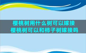 樱桃树用什么树可以嫁接 樱桃树可以和柿子树嫁接吗